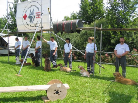 Rettungshunde